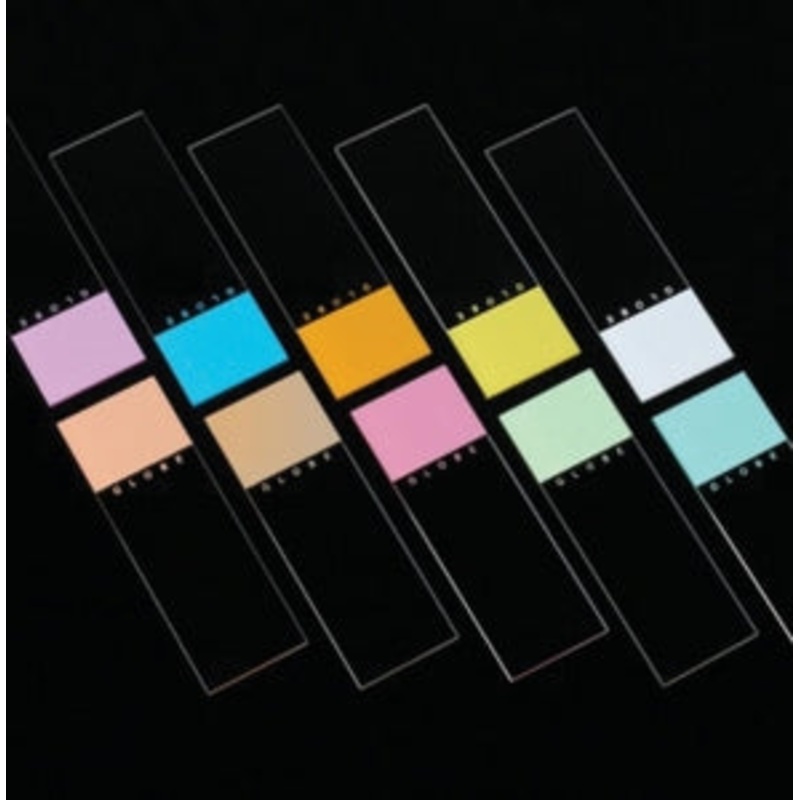 Globe Scientific Diamond Color Coded Microscope Slides – SLIDE, 90DEG, GROUND EDGE, FROST, GREEN – 1380-50G